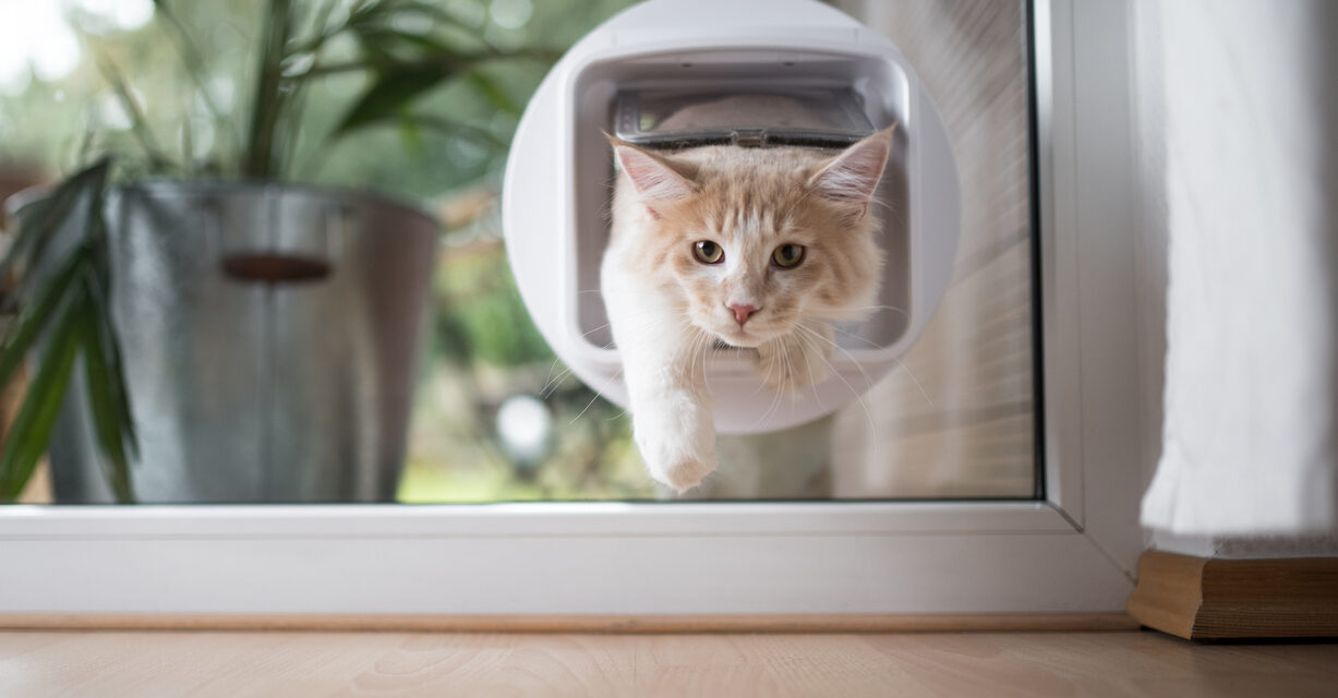 Chatière sur vitrage double