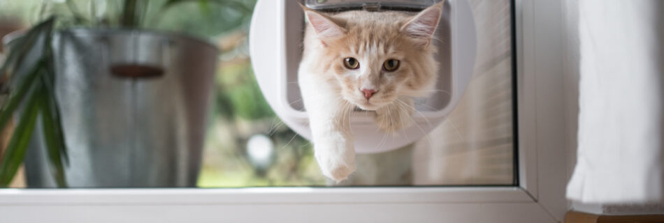 Chatière sur vitrage double